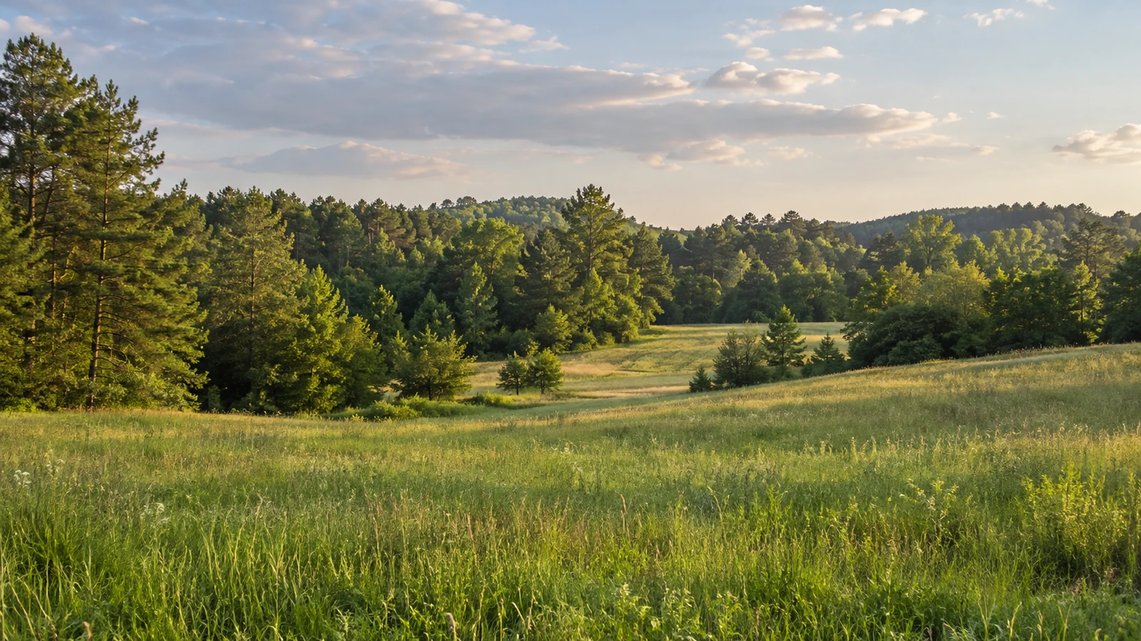 South Carolina land